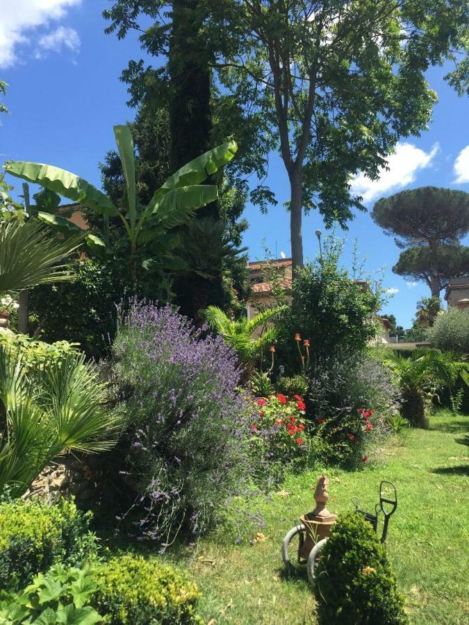 Edy House Apartman Castiglione In Teverina Kültér fotó